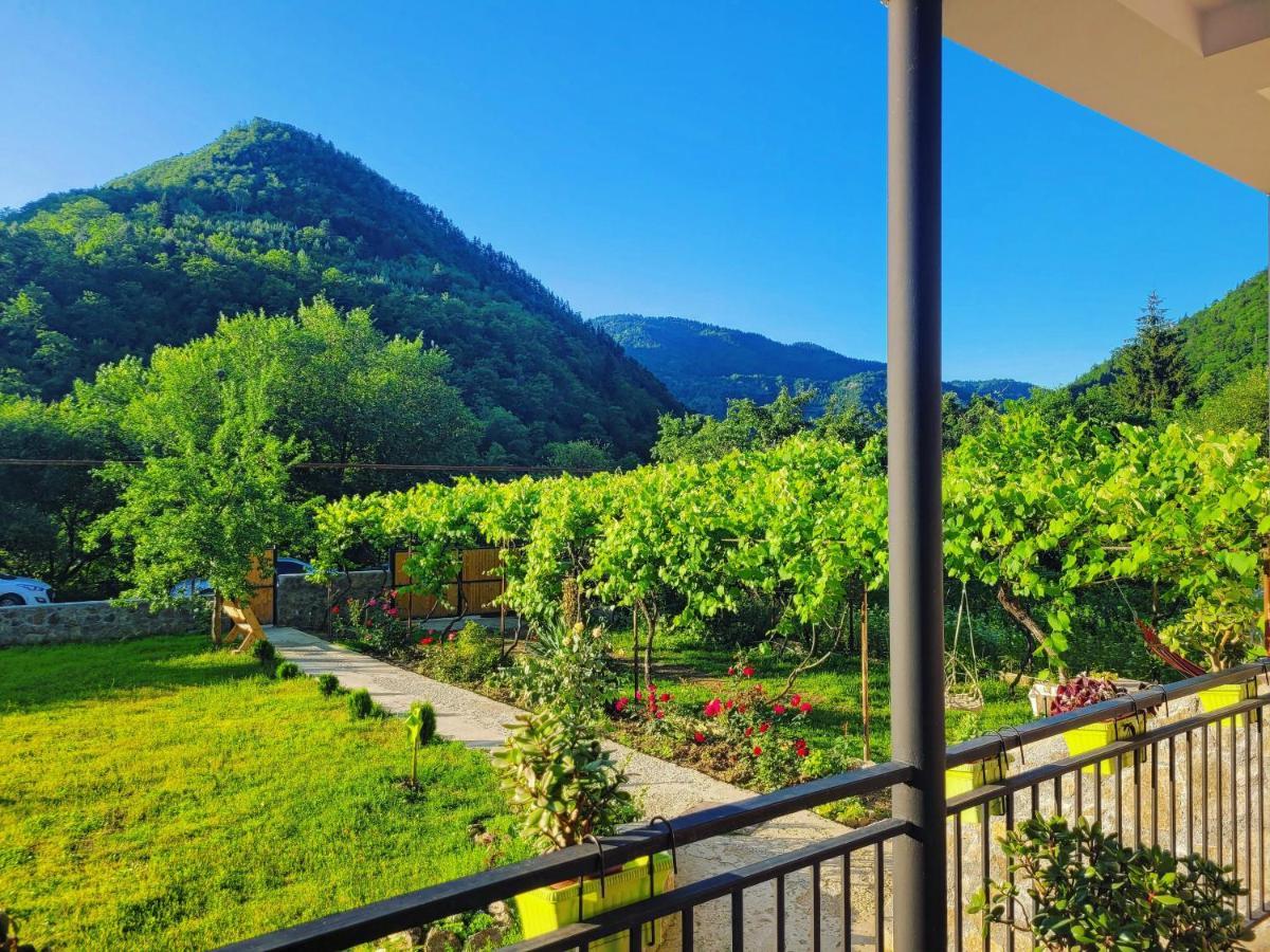 Family Hotel Mountain Panorama Borjomi Esterno foto