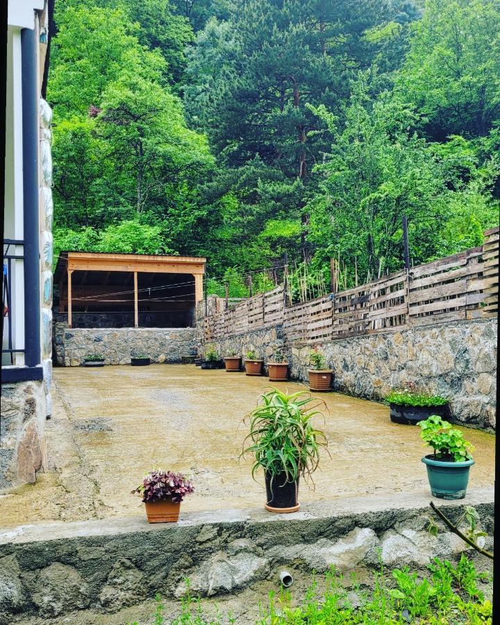 Family Hotel Mountain Panorama Borjomi Esterno foto