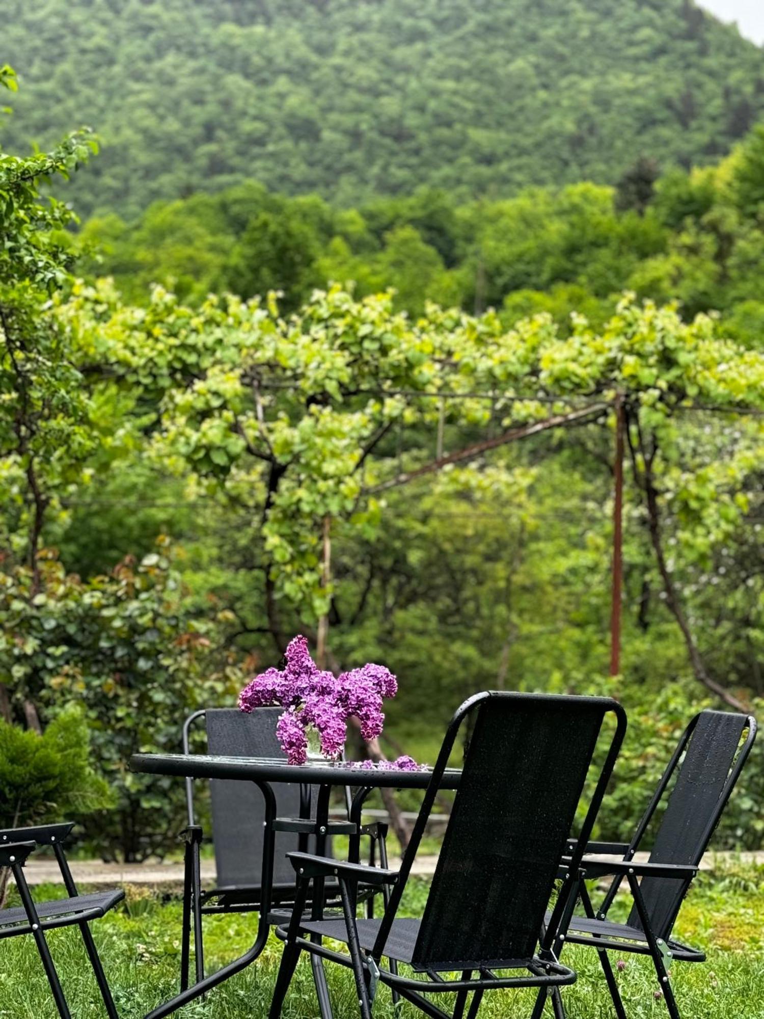 Family Hotel Mountain Panorama Borjomi Esterno foto